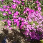 Apartamento Lilliana