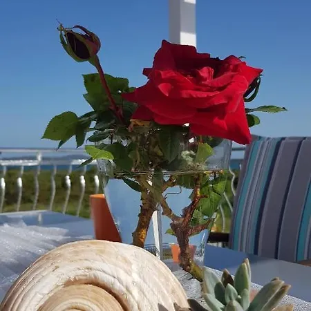 Lilliana Апартаменты Трибунь