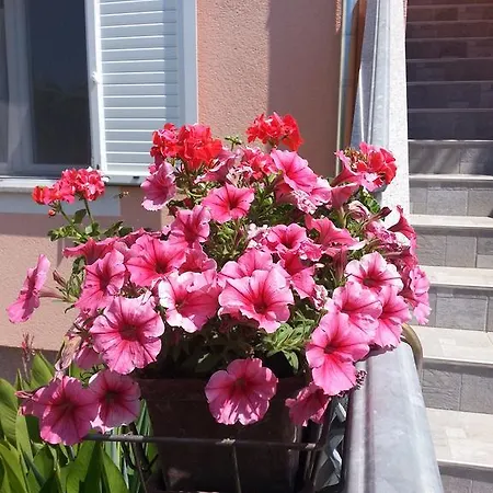 Lilliana Apartmán Tribalj