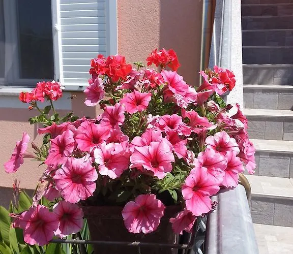 Lilliana Apartament Tribalj