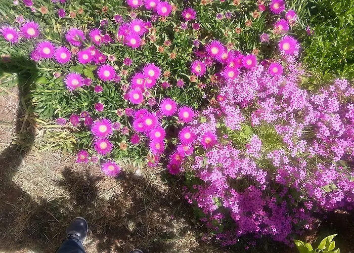 Appartement Lilliana